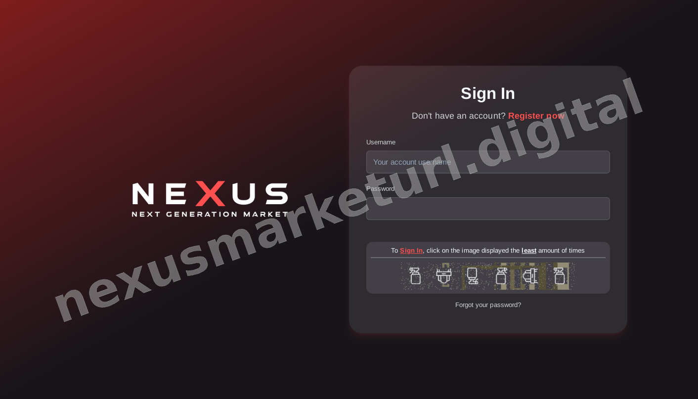 User Login Interface